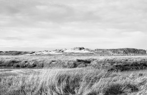 A black and white landscape photo shows a grassy plain with rolling hills in the background, capturing the essence of errance. The sky above is filled with scattered clouds, and the texture of the grass contrasts with the rough, rocky terrain of Ostende-like hills.