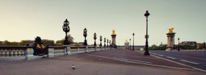 Wide-angle view of Pont Alexandre III in Paris at dusk, featuring ornate street lamps and golden statues on pillars, with the Hôtel des Invalides visible in the distance. A solitary pigeon is seen on the ground in the foreground along the quais de Seine.