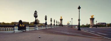Wide-angle view of Pont Alexandre III in Paris at dusk, featuring ornate street lamps and golden statues on pillars, with the Hôtel des Invalides visible in the distance. A solitary pigeon is seen on the ground in the foreground along the quais de Seine.