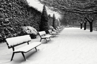 A neige-covered park with neatly trimmed hedges and leafless trees lining the walkway. Several benches, also covered in snow, are evenly spaced along the path, creating a serene and peaceful winter scene on a quiet samedi.
