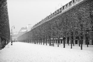 A black-and-white photo of a snow-covered urban scene featuring a symmetrical row of trees on either side of a walkway. The trees are bare and dusted with neige. In the background, multi-story buildings line the walkway, creating a sense of depth—a perfect samedi in winter.