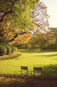 Two empty chairs sit on the edge of a sunlit lawn in a peaceful park, surrounded by trees with green and golden leaves. Dappled sunlight filters through the branches, capturing the calm and warmth of an été indien autumn atmosphere.