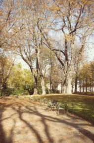 A peaceful park scene with empty green chairs scattered among large trees, fallen autumn leaves covering the ground, and dappled sunlight creating shadows—a perfect moment of été indien under a clear blue sky.
