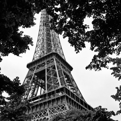 A black-and-white photograph of the Eiffel Tower, taken from below. The iron lattice structure, a testament to Gustave Eiffel's design brilliance, is framed by leafy trees along the avenue, creating a contrast between the intricate metalwork and the organic shapes of the foliage.