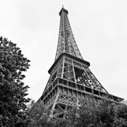 A black and white photograph of the Eiffel Tower in Paris, viewed from a low angle. Surrounding foliage frames the bottom of the image, while Gustave Eiffel's intricate iron lattice structure of the iconic landmark rises prominently against a cloudy sky.