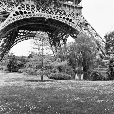 Black and white photograph of the lower section of the Eiffel Tower, Paris, capturing Gustave Eiffel's intricate ironwork above a park with trees, a small pond, and a grassy area covered in small flowers, just off a serene avenue.