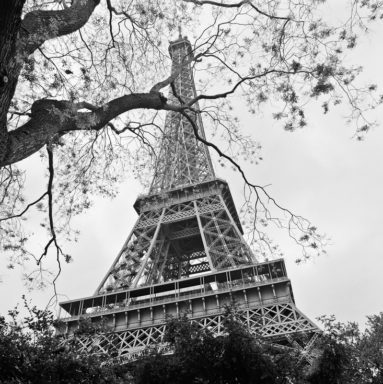 Black-and-white photo of the Eiffel Tower seen from below on Avenue Gustave Eiffel, framed by tree branches with sparse leaves against a cloudy sky.