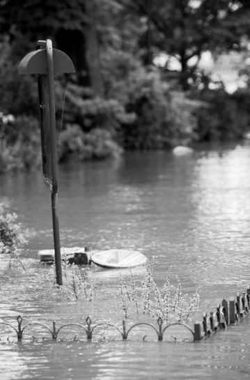 A flooded area at Square du Vert-Galant, with water from the crue covering most of a street lamp, a partially submerged trash can lid, and a small metal fence, surrounded by trees and plants.