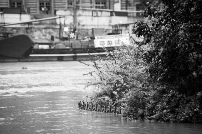 Black and white photo of a river in Paris, bordered by dense plants and a metal fence near Square du Vert-Galant. Industrial buildings and boats are visible on the opposite bank in the background, evoking the atmosphere during a crue.