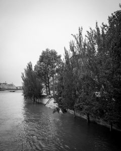 Black and white photo of a riverside in Paris lined with tall trees and a stone embankment, water rising up to the edge. The misty background reveals a distant building, bridge, and hints of Square du Vert-Galant during the crue.