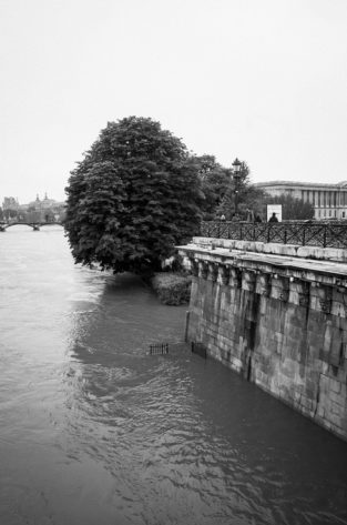 A black-and-white photo of a crue in Paris shows high river levels flooding the Square du Vert-Galant walkway, with large trees and a stone wall with railings. Several people stand on the walkway above the wall.