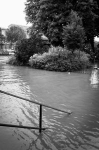 Flooded park area at Square du Vert-Galant with submerged railing, high water covering ground near trees and bushes, likely after a recent crue.