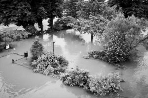 Flooded Square du Vert-Galant with trees and bushes partially submerged in water from the crue; pathways and benches are barely visible under the flood. The scene appears calm despite the extensive flooding.