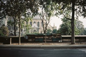 Bookstalls of bouquinistes line the quai de Montebello in Paris, shaded by tall trees, with the gothic Notre-Dame Cathedral in the background. Sunlight filters through leaves, casting dappled shadows on the pavement.