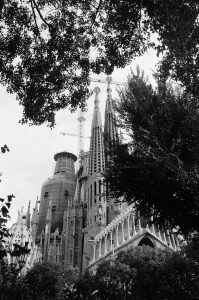 Black and white photo of the Sagrada Familia in Barcelona, showcasing Gaudi’s iconic tall spires and cranes above, partially framed by surrounding tree branches.