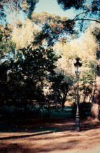 A vintage-style street lamp stands on a dirt path surrounded by trees and dense greenery in Parc de Pedralbes, Barcelona. Sunlight filters through the branches, creating dappled shadows on the ground in this sunlit park.