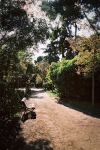 A sunlit dirt path winds through a green park in Barcelona, lined with trees and bushes. There are empty wooden benches along the path, and sunlight filters through the leaves, casting dappled shadows on the ground.