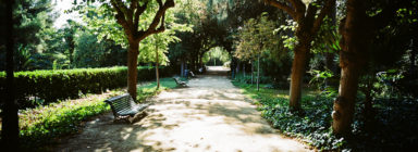 A sunlit Parc de Pedralbes pathway in Barcelona, lined with trees and green bushes, with empty benches along the sides and dappled sunlight casting shadows on the ground.
