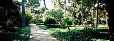 A sunlit park scene with a dirt path winding through lush green grass, leafy bushes, and tall trees in Parc de Pedralbes, Barcelona, creating a tranquil, shaded environment.