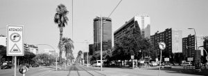 A wide, black-and-white view of a city street with palm trees, tall buildings, traffic signs in Spanish, and tram tracks running down the center. Cars and buses are visible along the road.