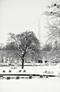 A snow-covered park in Paris with trees and chairs scattered around a fountain. La tour Eiffel is visible in the foggy background, partially obscured by mist. Birds perch on the bare branches of the trees, adding to the serene, distant charm of this winter scene.
