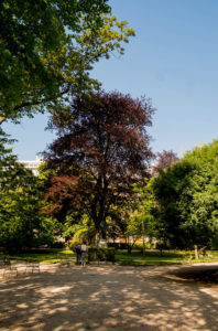 A tranquil park scene in Le printemps features a majestic tree with dark foliage surrounded by lush greenery. A couple of people stand near the base of the tree in Luco. The ground is covered in gravel, with a few empty metal chairs scattered around. The sky is clear and blue.