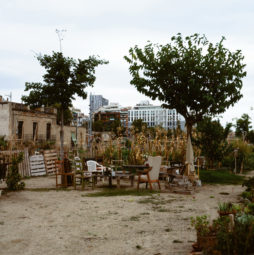 A community garden, Jardi Comestible, featuring various wooden chairs around a makeshift table under a tree. Surrounding the seating area are garden plots with plants, and in the background, there are run-down and modern buildings against a cloudy sky near Barcelona's Plaça de les Glòries.