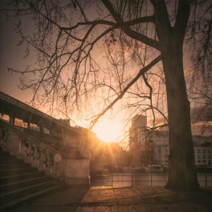 Sunset over a river viewed through the branches of a large, leafless tree. A staircase leads down to the riverbank on the left, while Pont de Bir-Hakeim in the background and buildings partially reflect the warm light of the sun.