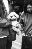 2019-10-21-Canon-EOS-1V-35mm-Bergger-Pancro400_19_MOD_MOD_BW_FRAME_resize