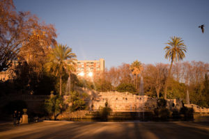 A serene Parc de la Citadelle scene in Barcelone features a large stone fountain with multiple tiers, surrounded by lush palm trees and bare trees. In the background, a building reflects the sunlight. Two people walk on a path to the left, and a bird is captured mid-flight on this winter day.