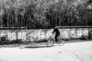 A person riding a bicycle on a paved road alongside a fence covered in tall plants and a long banner with Chinese characters, near the picturesque Mutianyu section of the Great Wall. The image is in black and white, and the rider's shadow stretches across the road.