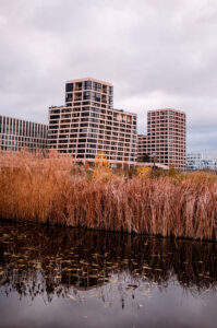 Tall residential buildings rise behind a dense patch of golden-brown reeds near a calm body of water at Square Martin-Luther King on an overcast day. The reflections of the reeds and Les Batignolles’ buildings are faintly visible on the water's surface, creating a quiet and serene mood.