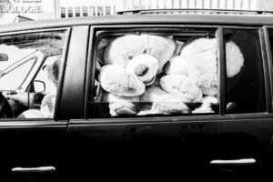 A black and white photo of a car filled with oversized teddy bears, their fluffy forms piled up and visible through the side window, taking up most of the available space inside the vehicle. The image humorously whispers "Poussez-pas," evoking a whimsical scene.