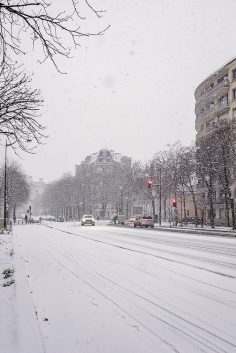 Il neige sur Paris / Janvier 2026