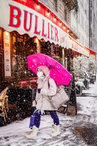 Il neige sur Paris / Janvier 2026