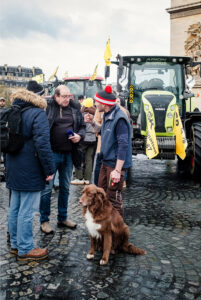 Three men, likely agriculteurs, talk on a cobblestone street near tractors and yellow flags; one wears a red hat with a brown and white dog at his feet. A manifestation unfolds as others gather amid city buildings in the background.