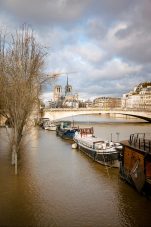 Des péniches sont amarrées le long d'une berge inondée à Paris pendant l'inondation de 2026. La cathédrale Notre-Dame est visible à l'arrière-plan sous un ciel nuageux. Des arbres dénudés et une grue se dressent près de l'eau.