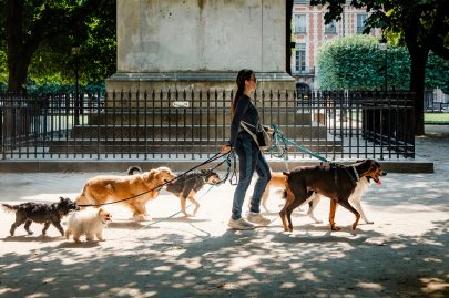 Jessica Fleury, profession promeneuse de chiens