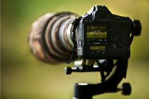 A DSLR camera with a long telephoto lens is mounted on a tripod. The camera’s display shows an image of a distant animal in a grassy field. The background is blurred green.